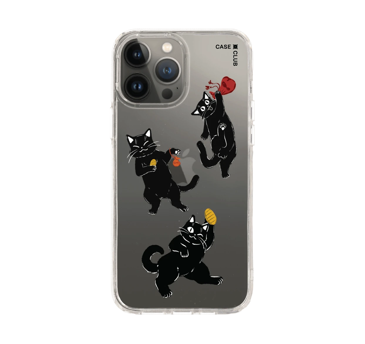 ชีวิตประจำวันของแมวดำ